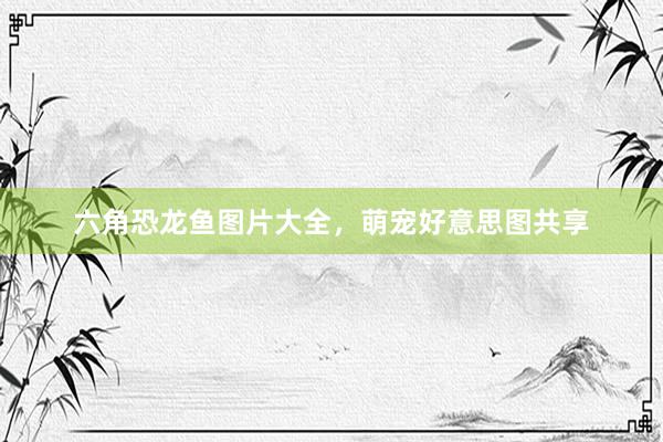 六角恐龙鱼图片大全，萌宠好意思图共享